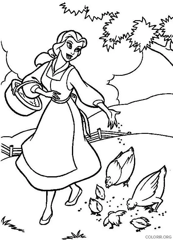 Bela Alimentando Aves