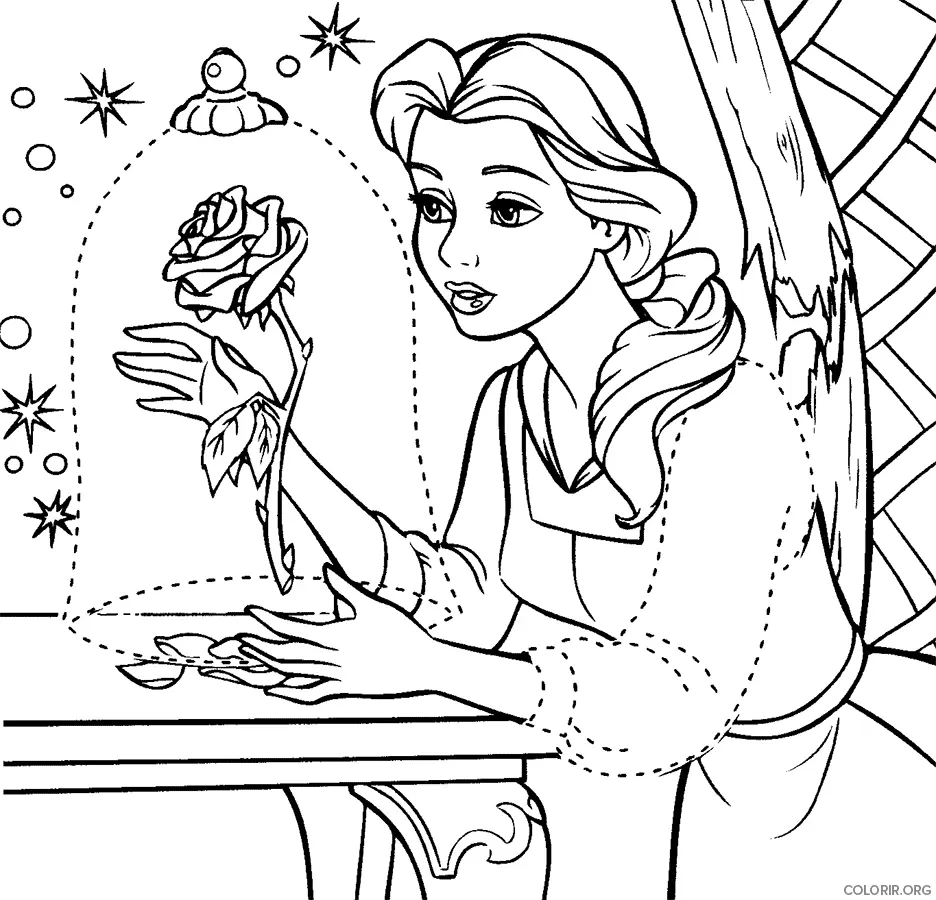 Bela Apreciando Rosa