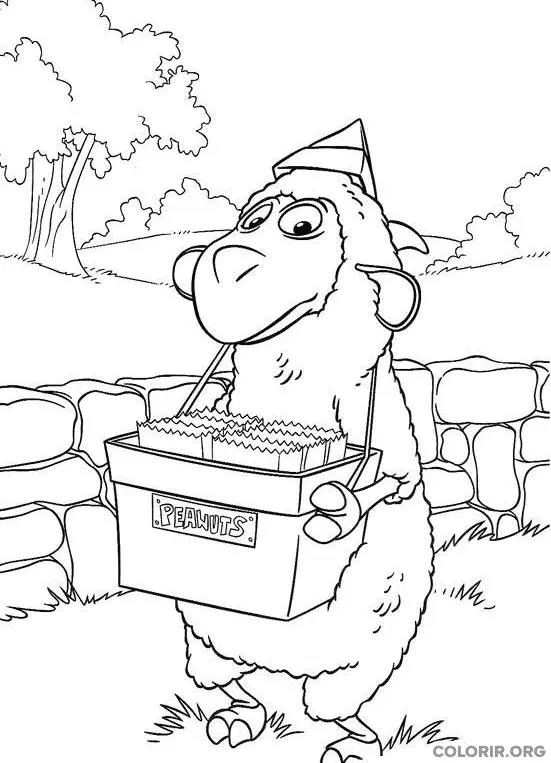 Wiley vendendo Amendoim