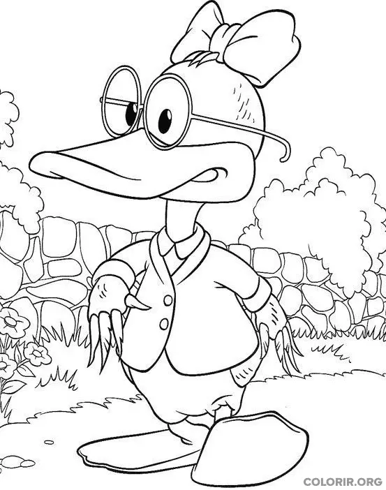 Dannan o Mallard a Pata