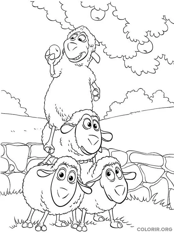 Wiley Se Aproveitando Das Outras Ovelhas