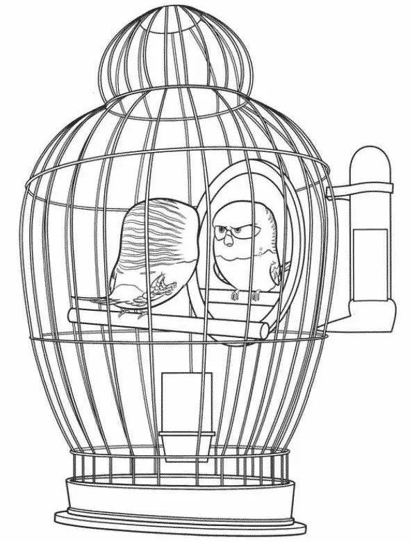 Docinho o Passarinho