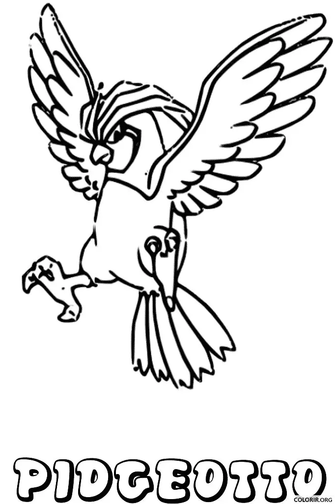 Pidgeotto para colorir
