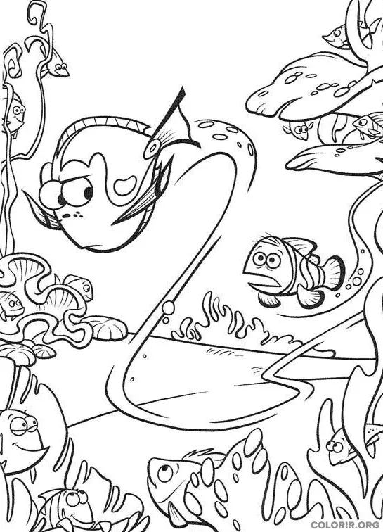 Procurando Nemo para colorir 20