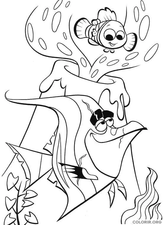 Procurando Nemo para colorir 32