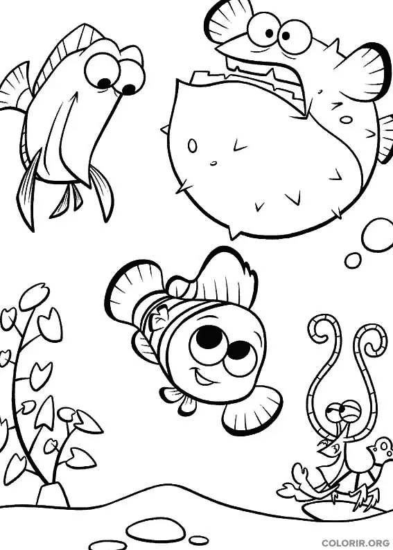 Procurando Nemo para colorir 6